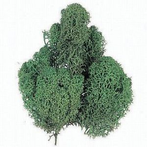 松村工芸 松村工芸 レインディアモス 20g ミント 165-2010-3