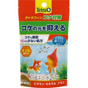 スペクトラムブランズ SpectrumBrands テトラフィン コケ対策 60g スペクトラムブランズ