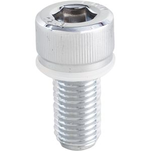 タナックス TANAX タナックス NP-001 M10正キャップボルトクローム TANAX
