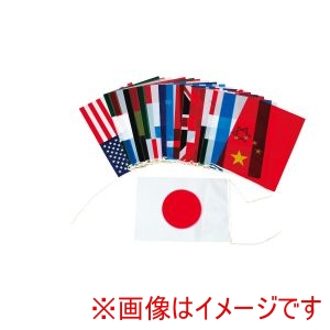 トーエイライト TOEI トーエイライト B6336 万国旗SS20 連結済