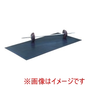 トーエイライト TOEI トーエイライト H7432 トレーニングマット10