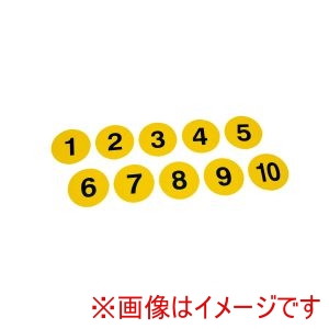 トーエイライト TOEI トーエイライト B6256 アクティブナンバープレート