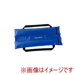 トーエイライト TOEI トーエイライト B2450 サンドウエイト S10