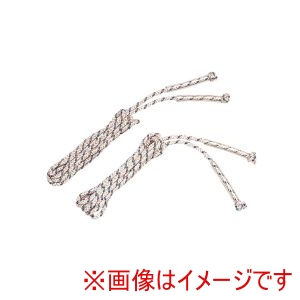 トーエイライト TOEI トーエイライト B3919 ダブルダッチダブルスロープ