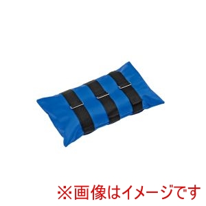 トーエイライト TOEI トーエイライト B2449 テントウエイトバッグ 10