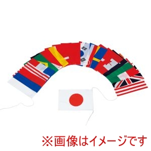 トーエイライト TOEI トーエイライト B2503 テトロン万国旗 20S 連結済