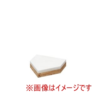 トーエイライト TOEI トーエイライト B2693 木台付ホームベース 100