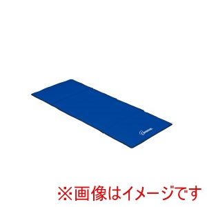 トーエイライト TOEI LIGHT トーエイライト H7153 エクササイズマットHG180