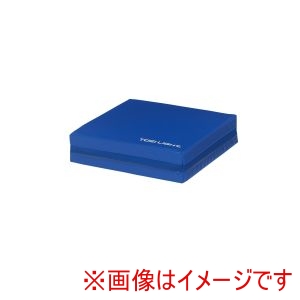 トーエイライト TOEI LIGHT トーエイライト U7045B ジャンプ&スプリングマット4