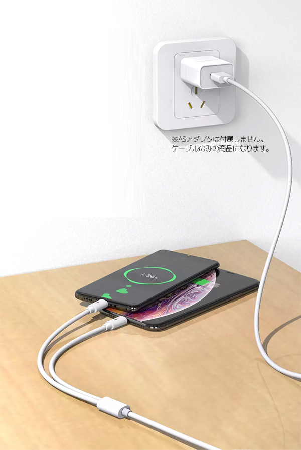  輸入特価アウトレット iphone TypeCケーブル ホワイト