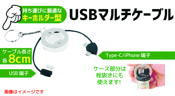  あきばお～ キーホルダー型 USBマルチケーブル シルバー