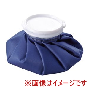 淡野製作所 DANNO 淡野製作所 D7725 アイスバッグ 氷のうS