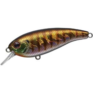 エバーグリーン EVERGREEN エバーグリーン ベルカント 50 ベイビーギル