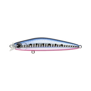 アイマ ima アイマ コスケ 85F KK85-009 マコイワシ