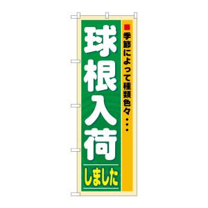 のぼり屋工房 のぼり屋工房 のぼり 球根入荷 3251