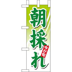 のぼり屋工房 のぼり屋工房 ミニのぼり 朝採れ 9379