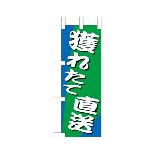のぼり屋工房 のぼり屋工房 ミニのぼり 獲れたて直送 9537