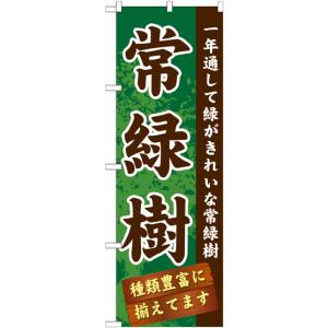 のぼり屋工房 のぼり屋工房 のぼり 常緑樹 GNB-1074