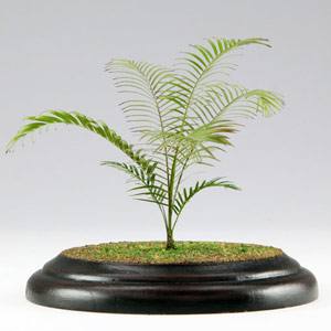 プラッツ プラッツ 1/12 植物キットシリーズNo.1 アレカヤシ エッチングキット PHK12-01