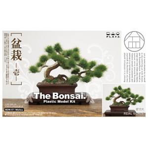 プラッツ プラッツ 1/12 ザ 盆栽 プラスチックモデルキット 壱 BON-01