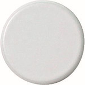 ジョインテックス ジョインテックス B273J-W 354097強力カラーマグネット 塗装25mm白 B273JW