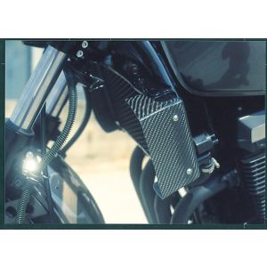 プレジャー プレジャー PK1180 ラジエターシュラウド カーボン ZRX400