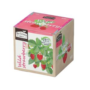 アーテック ArTec アーテック エコ栽培キット Re Green ワイルドストロベリー 102973