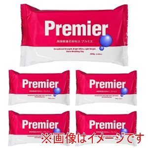 日本紐釦貿易 Nippon Chuko 日本紐釦 パジコ プルミエ 300g 5個セット PDC3135-5