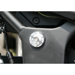 アグラス AGRAS アグラス 359-477-000S ピボットキャップ シルバー Ninja250R AGRAS