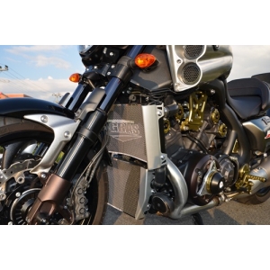 アグラス AGRAS アグラス 309-272-B00 コアガード Bタイプ ロゴ無 V-MAX1700 AGRAS