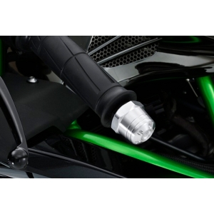 アグラス AGRAS アグラス 300-496-000S バーエンド SLV H2 15- /ZX-10R 16 AGRAS