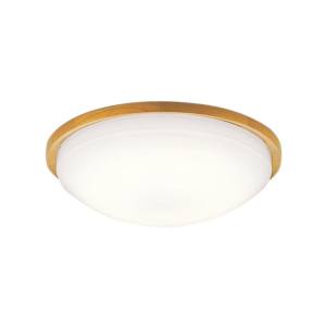 パナソニック panasonic パナソニック LGB52613LE1 LEDシーリングライト スリム 20形 電球色