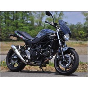 シックデザイン シックデザイン GS49BS/2 GUYRAシールド スモーク #S SV650 16-