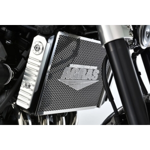 アグラス AGRAS アグラス 309-400-A00 コアガード Aタイプ Z900RS 18-19 AGRAS