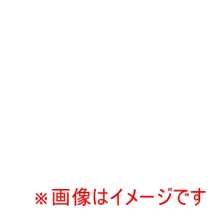 アグラス AGRAS アグラス 309-181-B00 ラジエターコアガード Bタイプ CB1000R 18 AGRAS