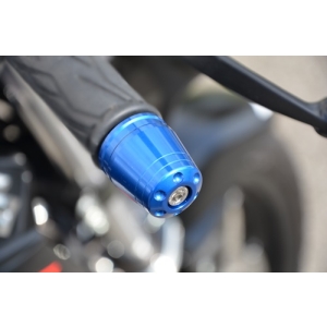 アグラス AGRAS アグラス 300-308-000G バーエンド GLD GSX-S125 AGRAS