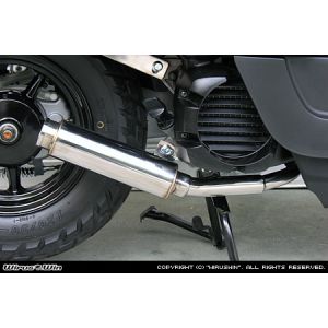 ウイルズウィン WirusWin ウイルズウィン 1762-55-01 ロッドサイレンサータイプマフラー JOG/JOG-ZR SA55J/56J WirusWin