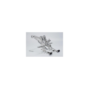 アエラ AELLA アエラ AE-10066B BK ライディングステップキット BK ドカティ ディアベル テルミニョーニスリップオン対応