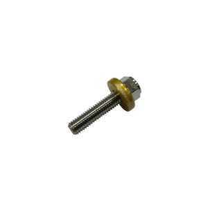 バイカーズ BIKERS バイカーズ C0418-LGD スクリーン用 ステンレスボルト ライトゴールド ZX-25R 20-24 ZX-4R 23-24