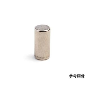 二六製作所 二六製作所 NE428 ネオジム Φ6×12 N40