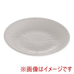 遠藤商事 TKG TKG 千段 白 T03-89 4.0皿 遠藤商事