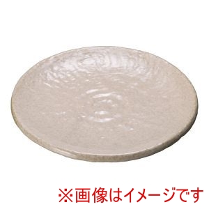 遠藤商事 TKG TKG ホワイト5.0丸皿 T03-112 遠藤商事