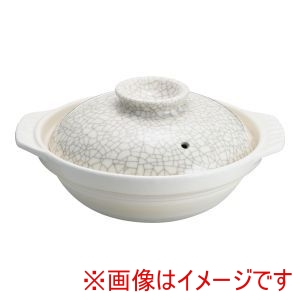遠藤商事 TKG TKG 貫入 土鍋 S-509 9号 RMJ6404