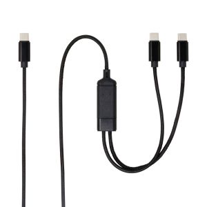 AINEX アイネックス アイネックス UYC-CC12P10 USB-C二股充電ケーブル PD100W対応 1.2m