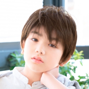 プリシラ プリシラ 帽子 ウィッグ フィット ショート 耐熱 ダークブラウン BO-12-TDB