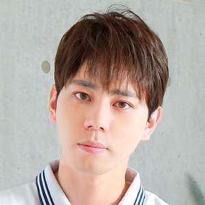 プリシラ プリシラ 男性用 5分 ウィッグ ボリューム ショート 耐熱 ダークブラウン GB-23-TDB