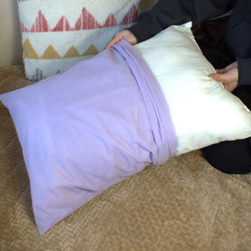  ジーズ ジーズ おそうじ屋さんの防ダニシートまくら用インナーカバー 2枚入
