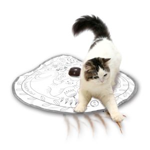 猫壱 neco ichi 猫壱 キャッチ ミー イフ ユー キャン2 猫のお庭 neco ichi