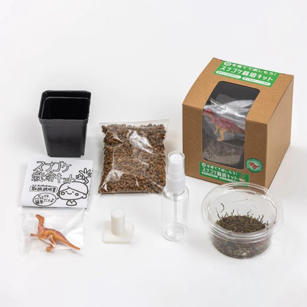  ビックアロー ビックアロー スナゴケ栽培キット