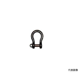 大洋製器工業 TAIYO 大洋 BD-6 1004791 TAIYOシャックル 黒
